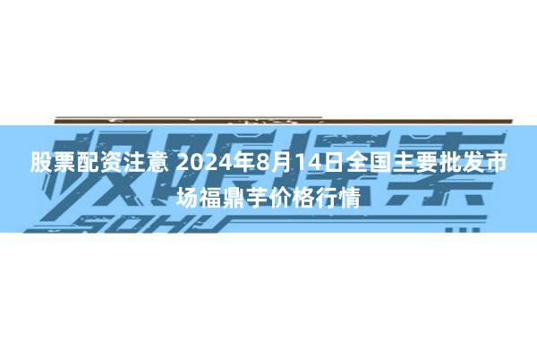 股票配资注意 2024年8月14日全国主要批发市场福鼎芋价格行情