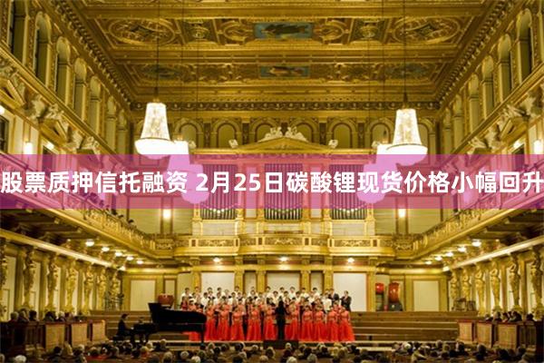 股票质押信托融资 2月25日碳酸锂现货价格小幅回升