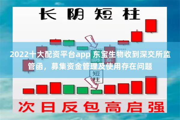 2022十大配资平台app 东宝生物收到深交所监管函，募集资金管理及使用存在问题