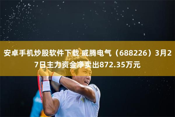 安卓手机炒股软件下载 威腾电气（688226）3月27日主力资金净卖出872.35万元