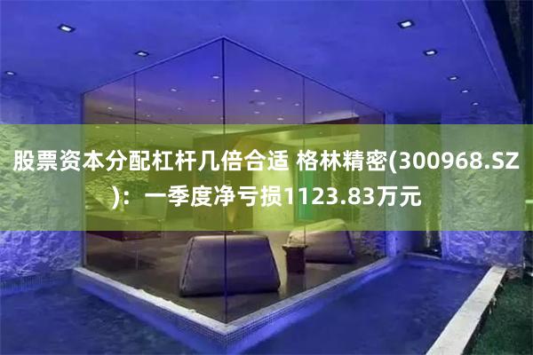 股票资本分配杠杆几倍合适 格林精密(300968.SZ)：一季度净亏损1123.83万元