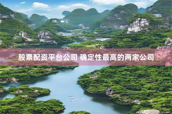 股票配资平台公司 确定性最高的两家公司