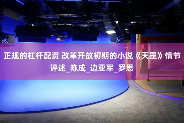 正规的杠杆配资 改革开放初期的小说《天罡》情节评述_陈成_边亚军_罗思