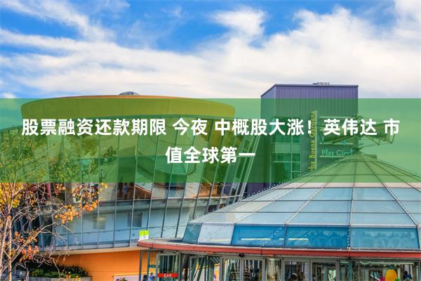 股票融资还款期限 今夜 中概股大涨！英伟达 市值全球第一