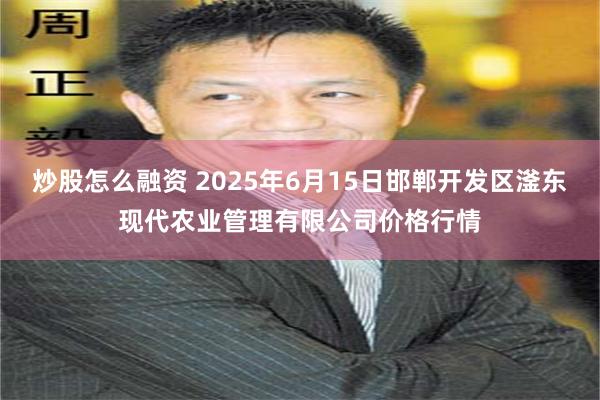 炒股怎么融资 2025年6月15日邯郸开发区滏东现代农业管理有限公司价格行情