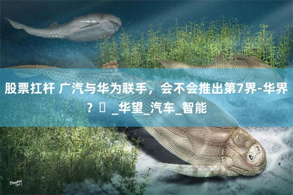 股票扛杆 广汽与华为联手，会不会推出第7界-华界？​_华望_汽车_智能