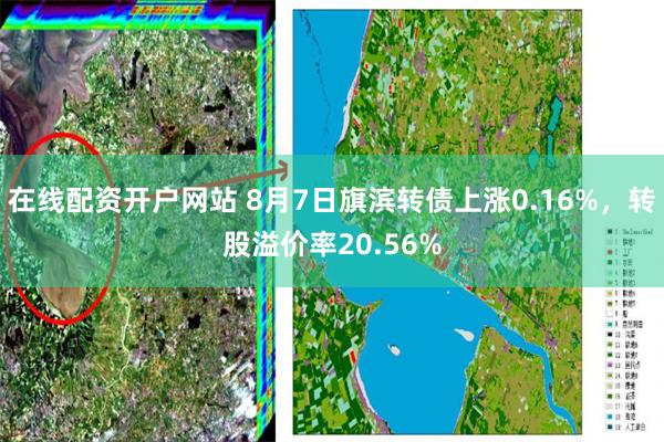 在线配资开户网站 8月7日旗滨转债上涨0.16%，转股溢价率20.56%